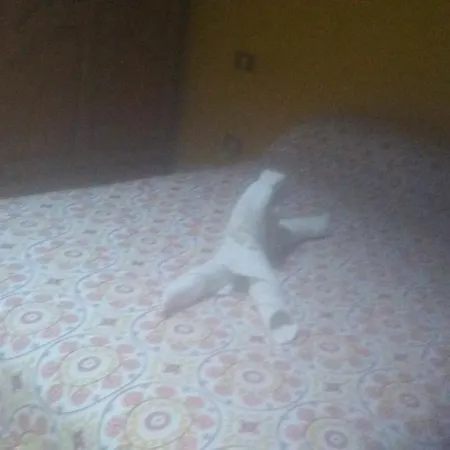 Apartamento Playa Norte *